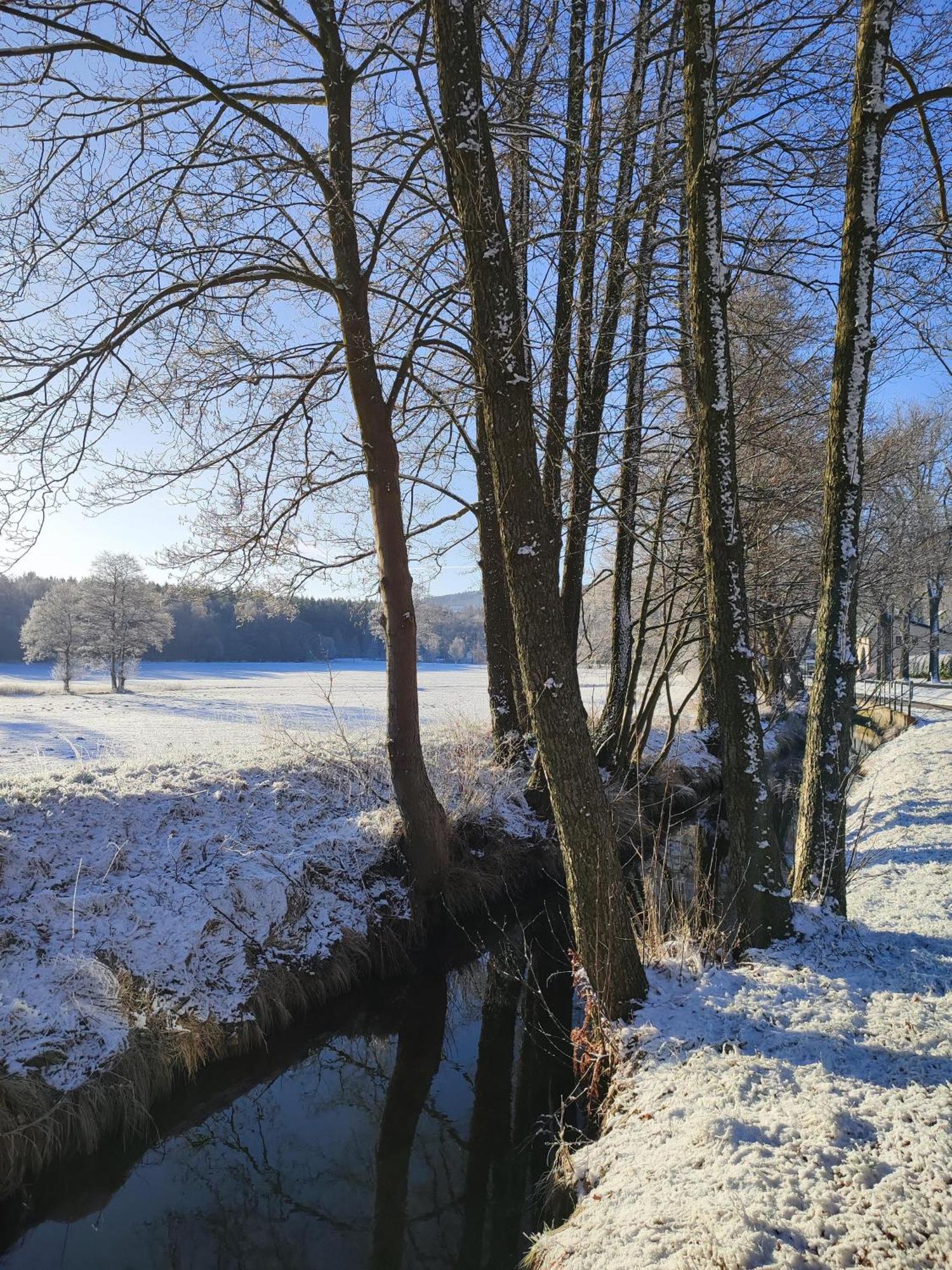 Ferienhaus "De Sieme" Olbernhau Bagian luar foto