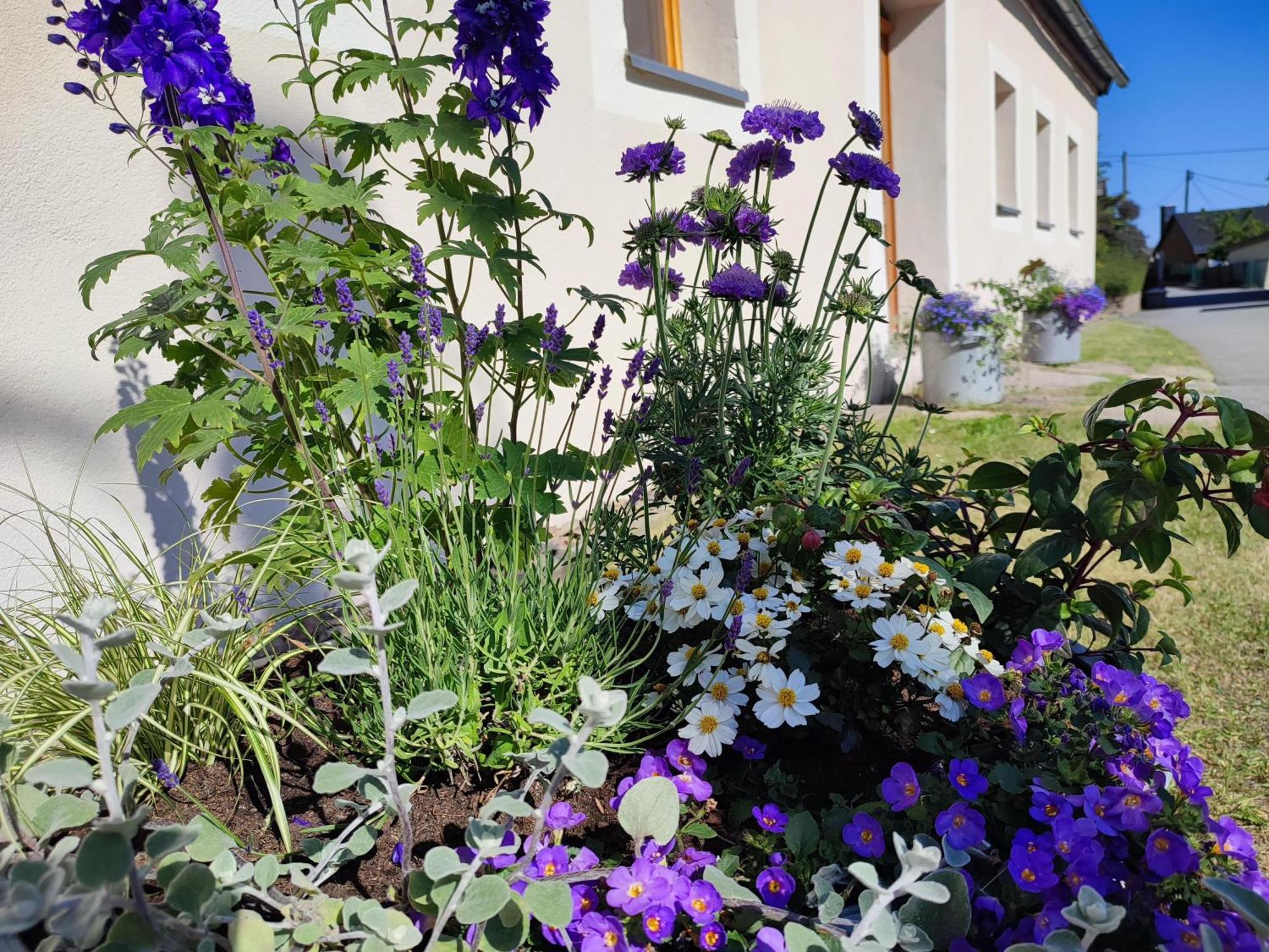 Ferienhaus "De Sieme" Olbernhau Bagian luar foto